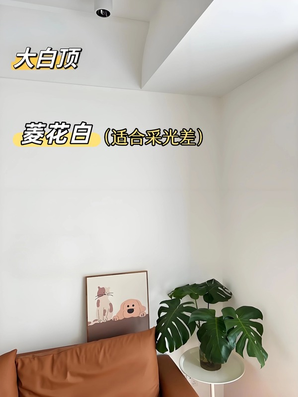 微信图片_20250427143242.jpg